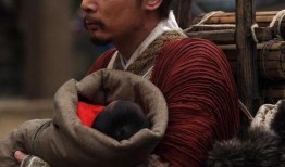 赵氏孤儿在线观看,一场悲壮的家族复仇史诗